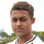 Hatamoto Dudu