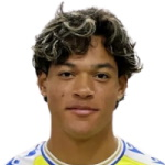 F. Castillo
