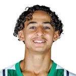 Wael Mohya