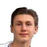Fabian Wahlstrom