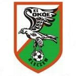 Sokół Kleczew